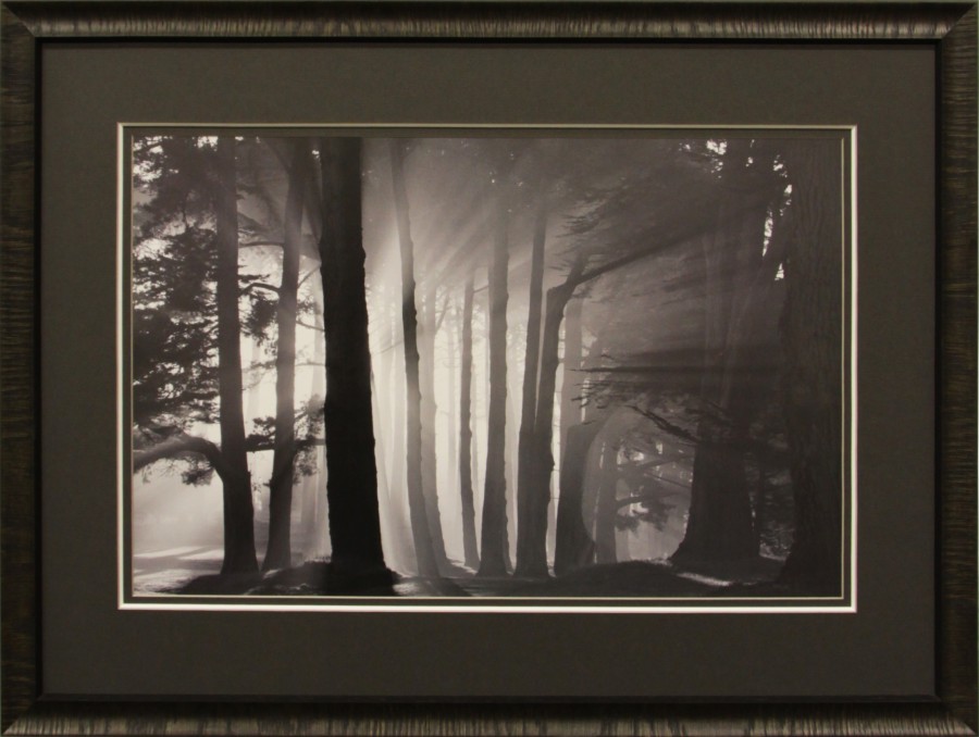 Ч/б фотография с темным паспарту в деревянном багете